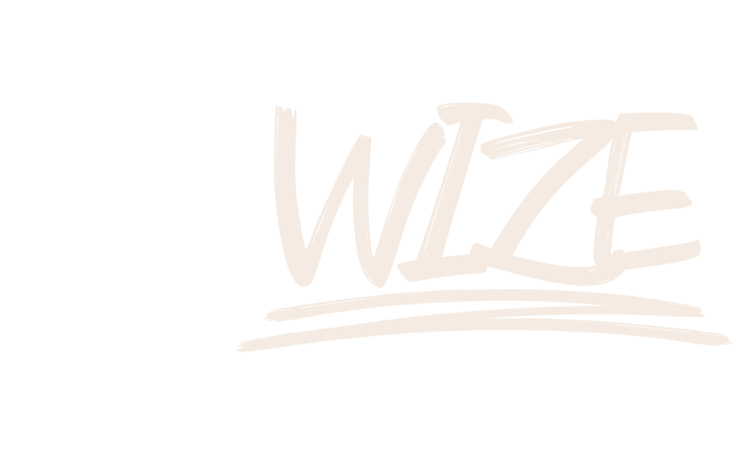 Wize WIZE Co. Ltd. – Think Professionally Make Creatively